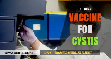 Exploring the Latest Advances: Is There a Vaccine for Cystitis?
