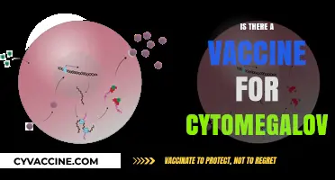 Exploring the Quest for a Cytomegalovirus Vaccine: Hope on the Horizon?
