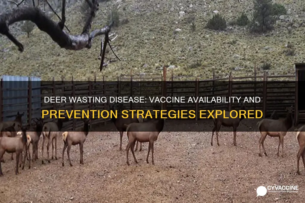 is there a vaccine for deer wasting disease
