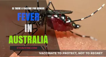 Dengue Fever Vaccine in Australia: Availability and What You Need to Know