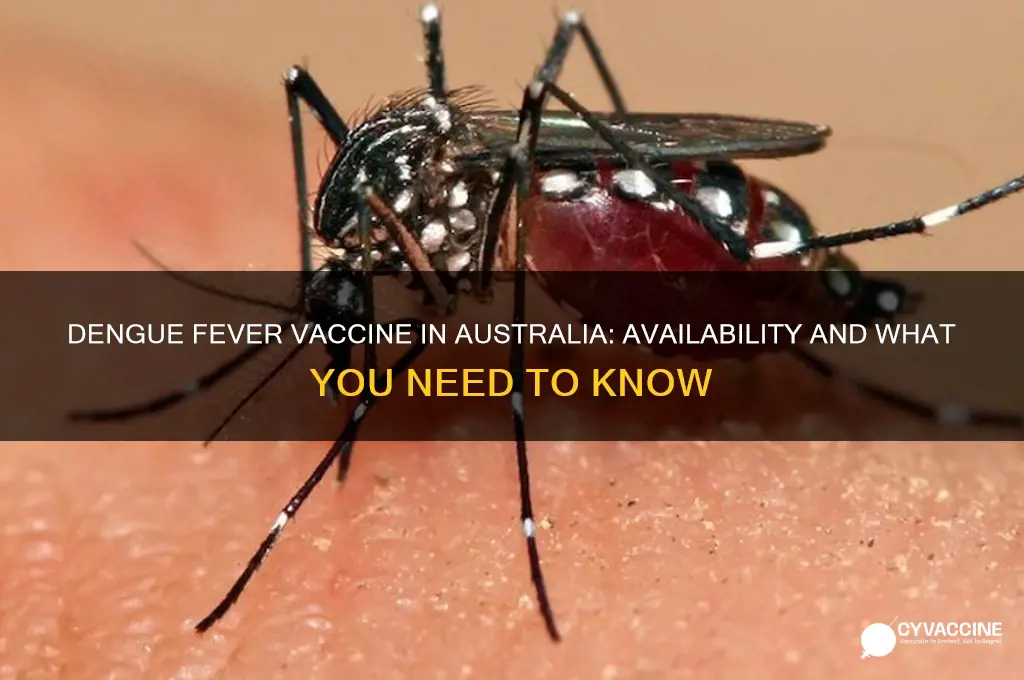 is there a vaccine for dengue fever in australia