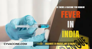 Dengue Fever Vaccine in India: Availability, Effectiveness, and Updates