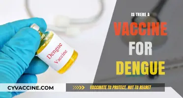 Dengue Vaccine: Current Status, Availability, and Prevention Strategies