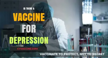 Exploring the Possibility: Can We Vaccinate Against Depression?