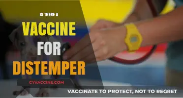 Exploring Canine Health: The Quest for a Distemper Vaccine