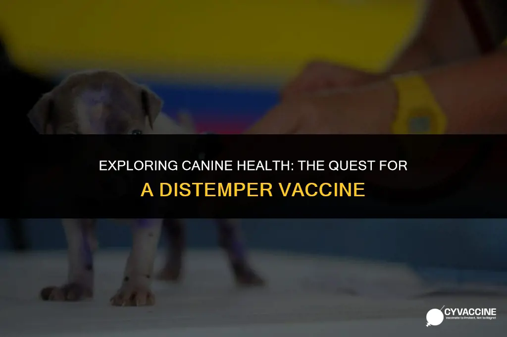 is there a vaccine for distemper
