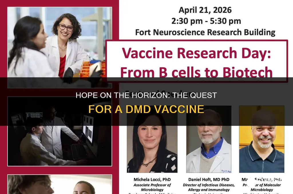 is there a vaccine for dmd