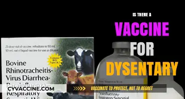 Exploring Dysentery Prevention: The Vaccine Option