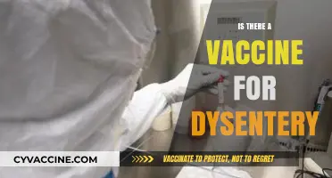 Exploring Dysentery Vaccines: Current Status and Future Prospects