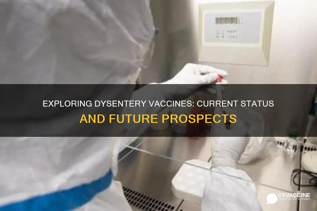 is there a vaccine for dysentery