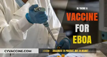 Exploring the Quest for an Ebola Vaccine: Facts and Progress
