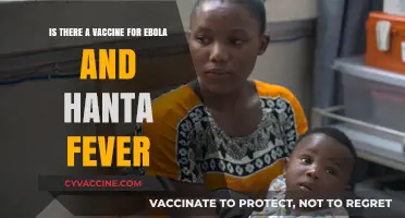 Ebola and Hantavirus Vaccines: Current Status and Future Prospects