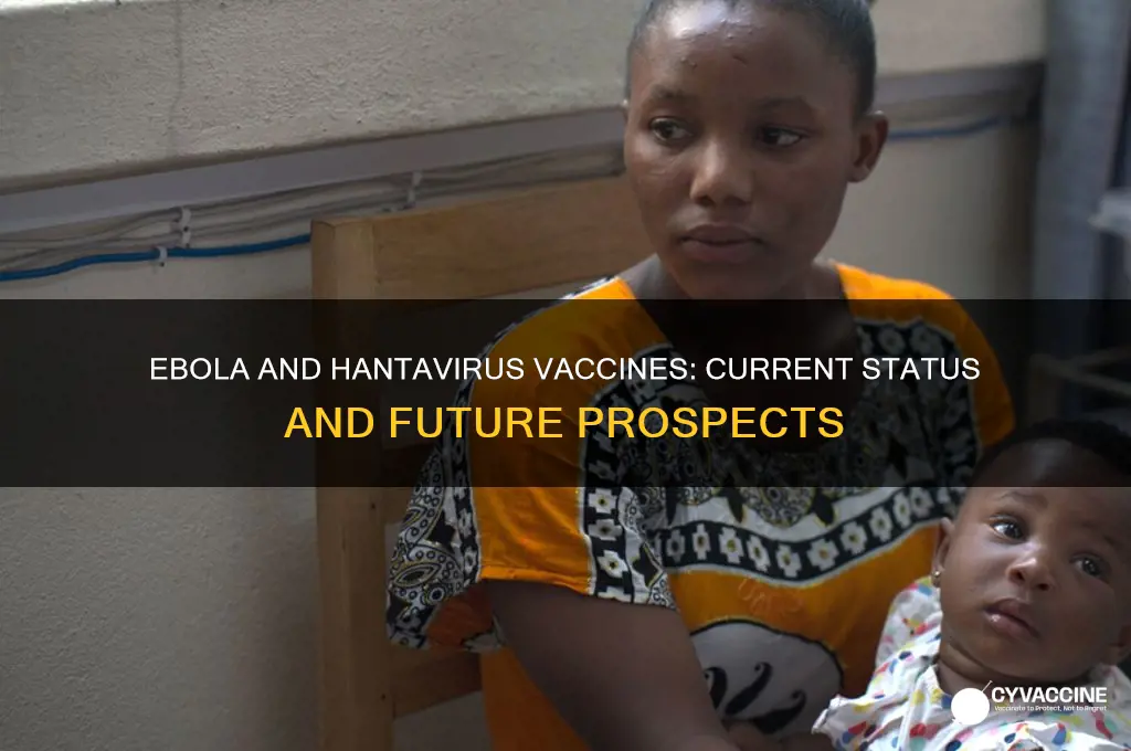 is there a vaccine for ebola and hanta fever