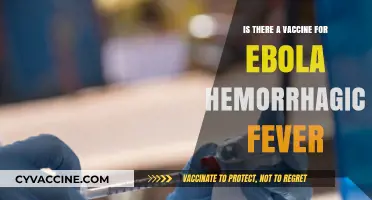 Ebola Hemorrhagic Fever Vaccine: Current Status and Future Prospects