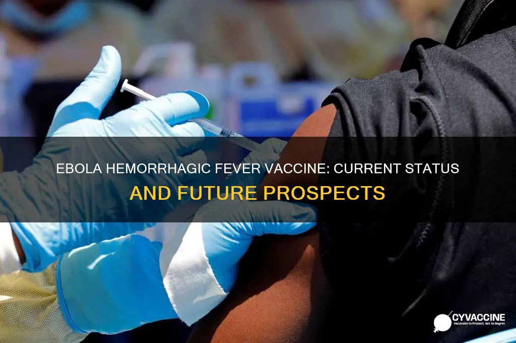 is there a vaccine for ebola hemorrhagic fever