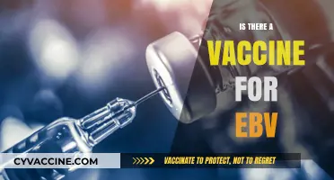Exploring the Possibility: Is There a Vaccine for EBV?