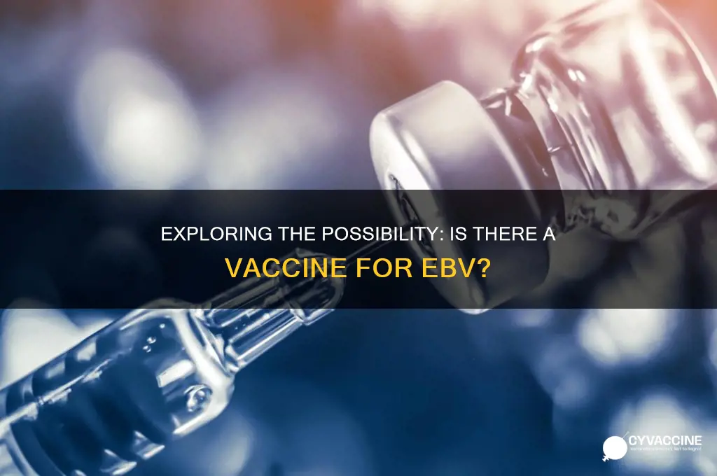 is there a vaccine for ebv