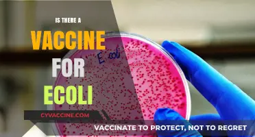 Combatting E. Coli: The Quest for an Effective Vaccine