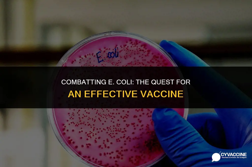 is there a vaccine for ecoli