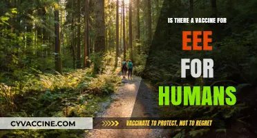 EEE Vaccine for Humans: Availability, Risks, and Prevention Strategies