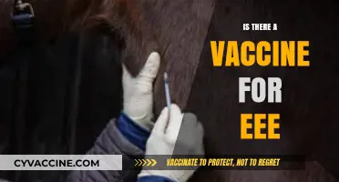 EEE Vaccine: Current Status and Prevention Strategies Explained