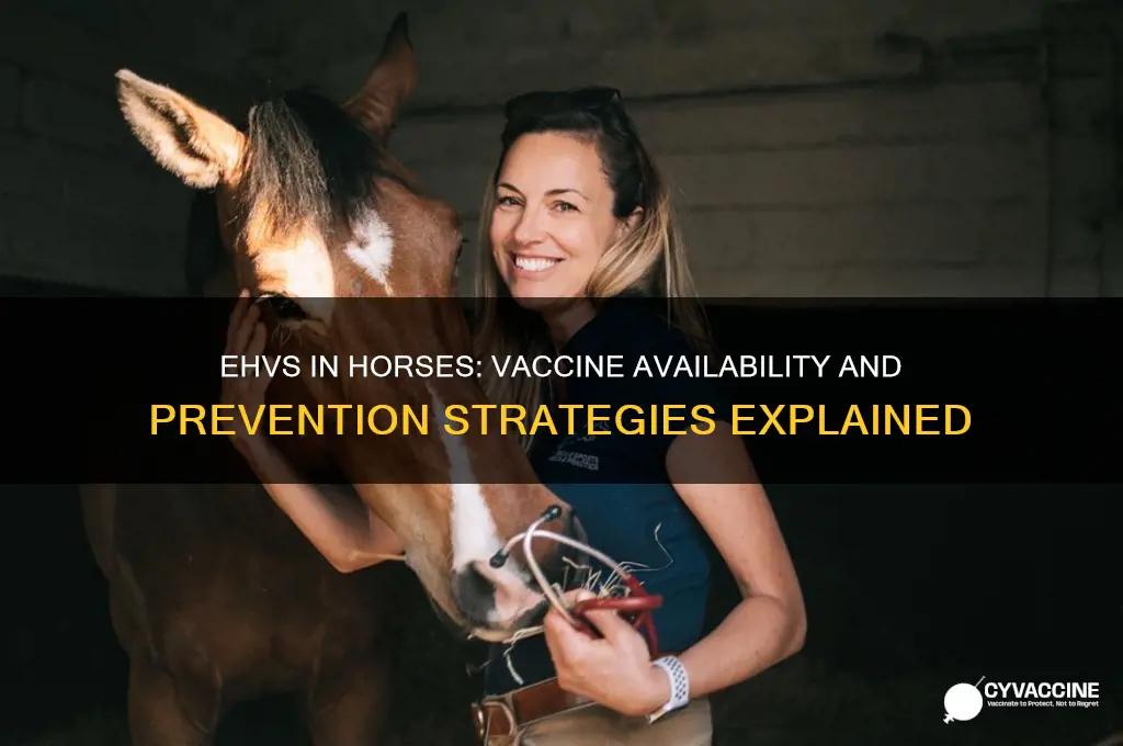 is there a vaccine for ehv-1 in horses