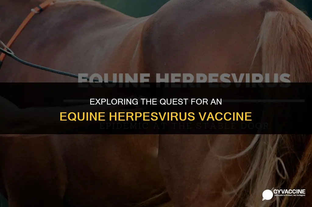 is there a vaccine for ehv