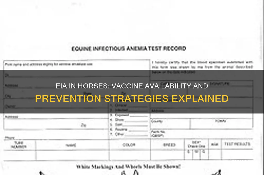 is there a vaccine for eia in horses