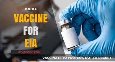Exploring the Quest for an EIA Vaccine: Facts and Hopes