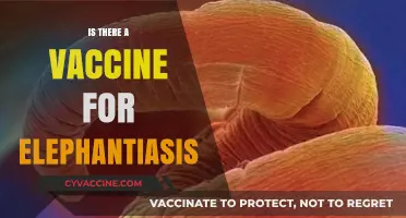 Combatting Elephantiasis: The Quest for a Protective Vaccine