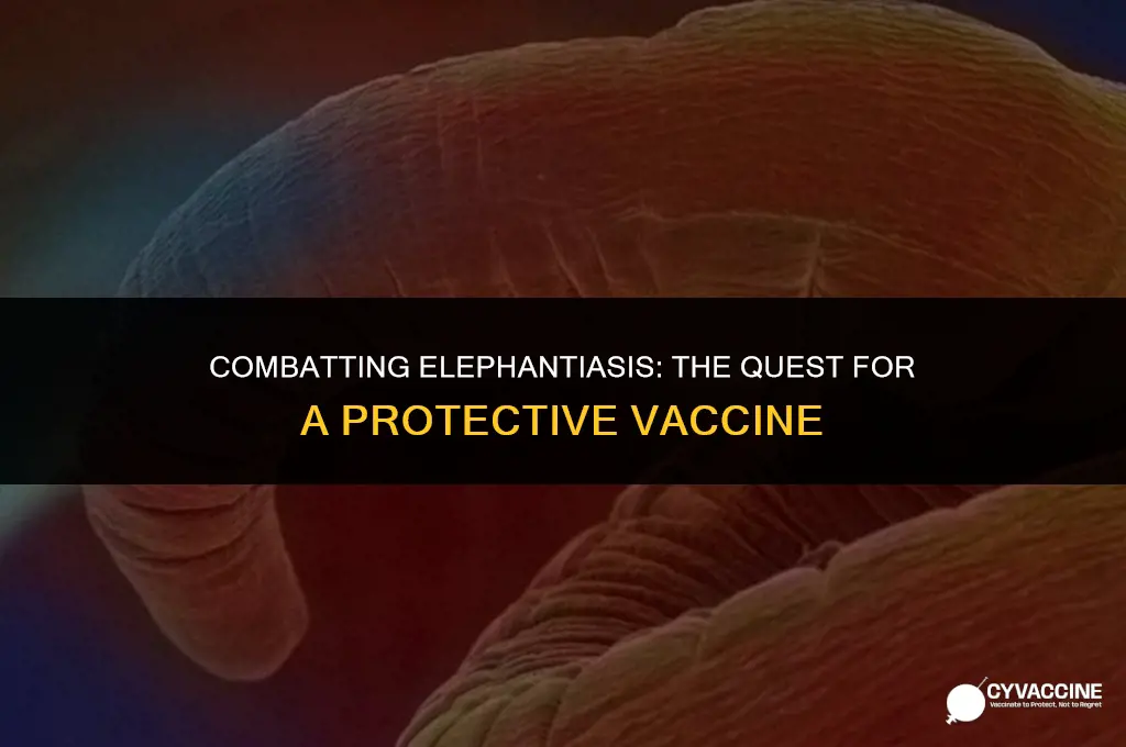 is there a vaccine for elephantiasis