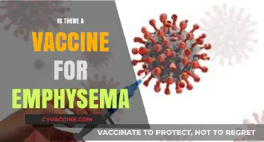 Exploring the Latest Advances: Is There a Vaccine for Emphysema?