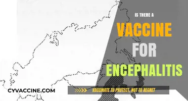 Exploring the Latest Advances in Encephalitis Vaccination: A Comprehensive Guide