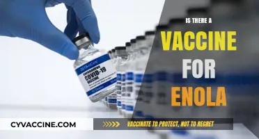 Exploring the Quest for an Enola Vaccine: Facts and Myths