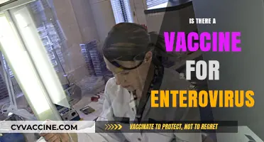 Combatting Enterovirus: The Quest for an Effective Vaccine