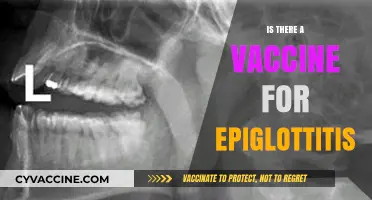 Combatting Epiglottitis: The Quest for a Protective Vaccine