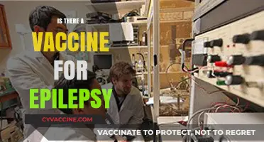 Exploring the Possibilities: Is There a Vaccine for Epilepsy?