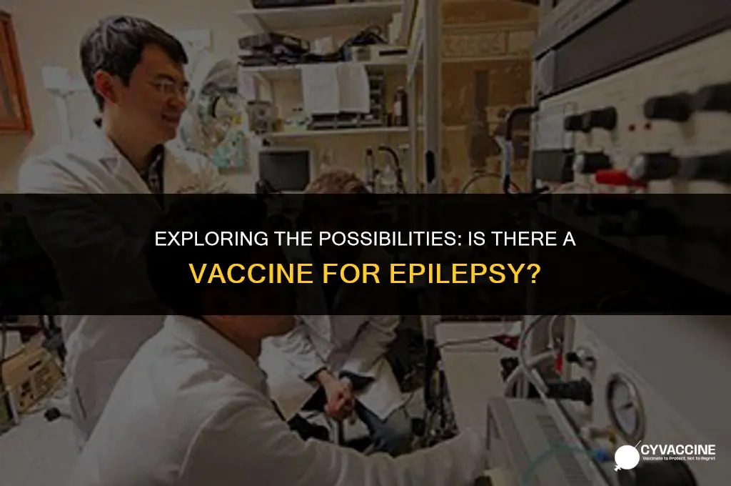 is there a vaccine for epilepsy