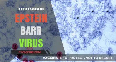 Epstein-Barr Virus: Vaccine Hope or Hype?