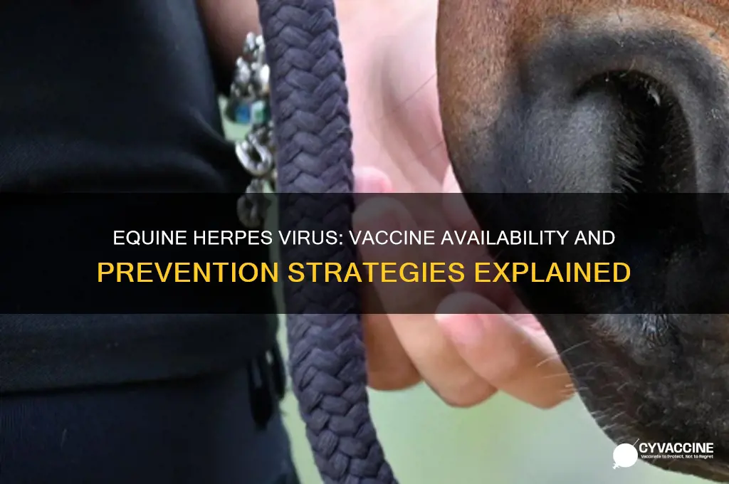 is there a vaccine for equine herpes virus