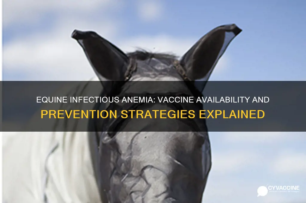is there a vaccine for equine infectious anemia