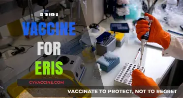 Exploring the Quest for an Eris Vaccine: Facts and Myths