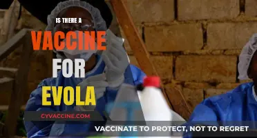 Combatting Ebola: The Quest for a Protective Vaccine