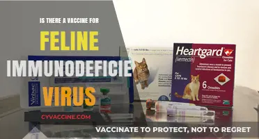 Feline Immunodeficiency Virus: Vaccine Availability and Prevention Strategies