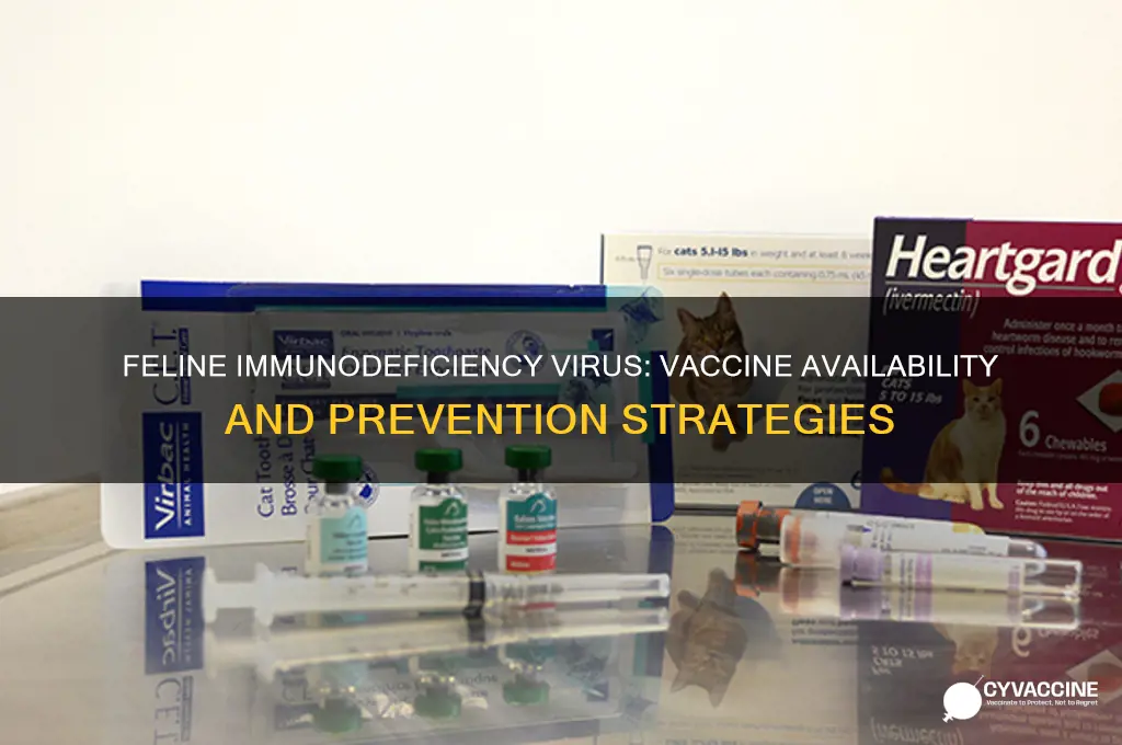 is there a vaccine for feline immunodeficiency virus