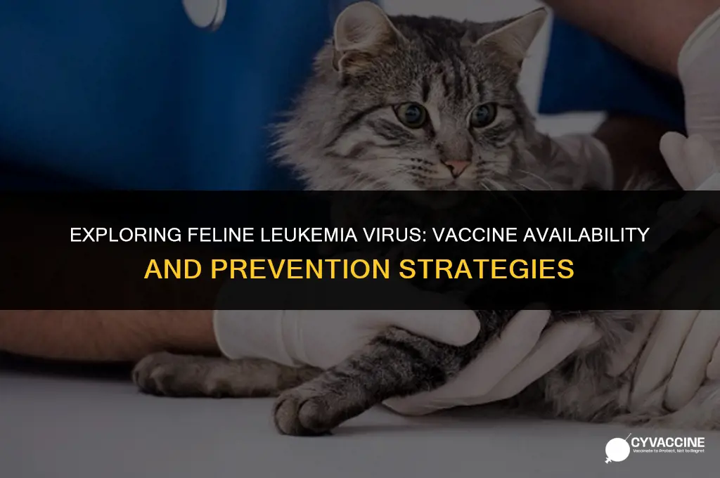 is there a vaccine for felv