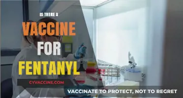 Exploring the Quest for a Fentanyl Vaccine: Hope or Hype?