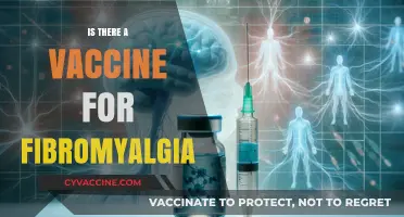 Exploring the Possibility: Is There a Vaccine for Fibromyalgia?