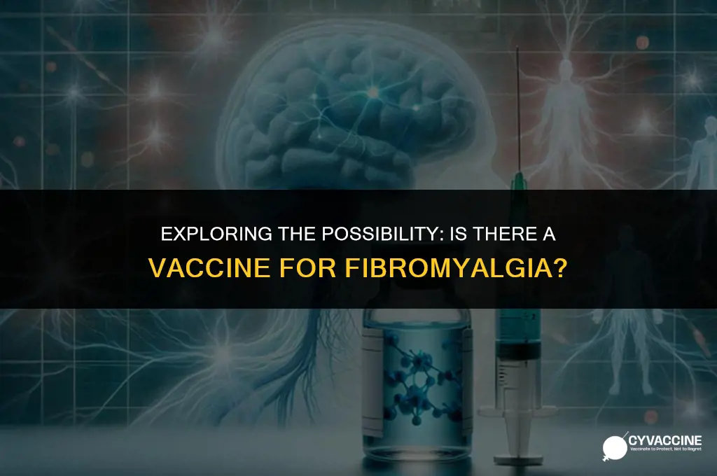 is there a vaccine for fibromyalgia
