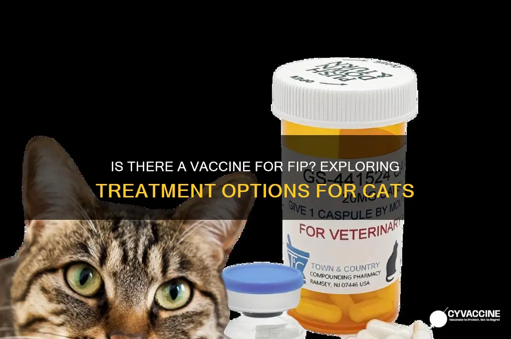 is there a vaccine for fip